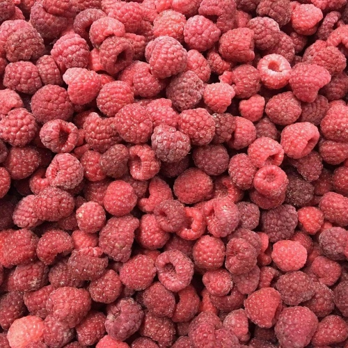 Frozen IQF Raspberry Whole 1000kg/1 Ton